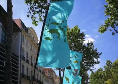 Installation de drapeaux